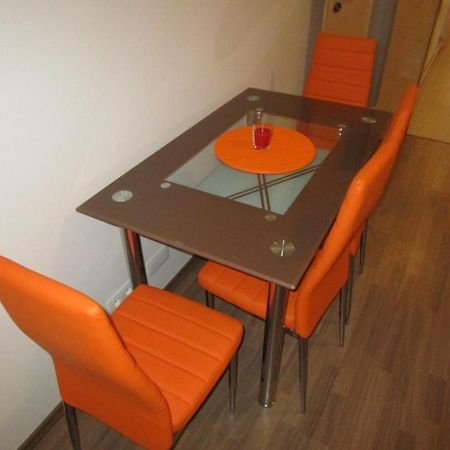 Apartman Ricky V Orlickych Horach Wüstenei Exterior foto