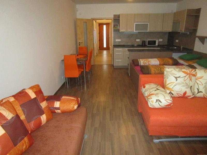 Apartman Ricky V Orlickych Horach Wüstenei Exterior foto