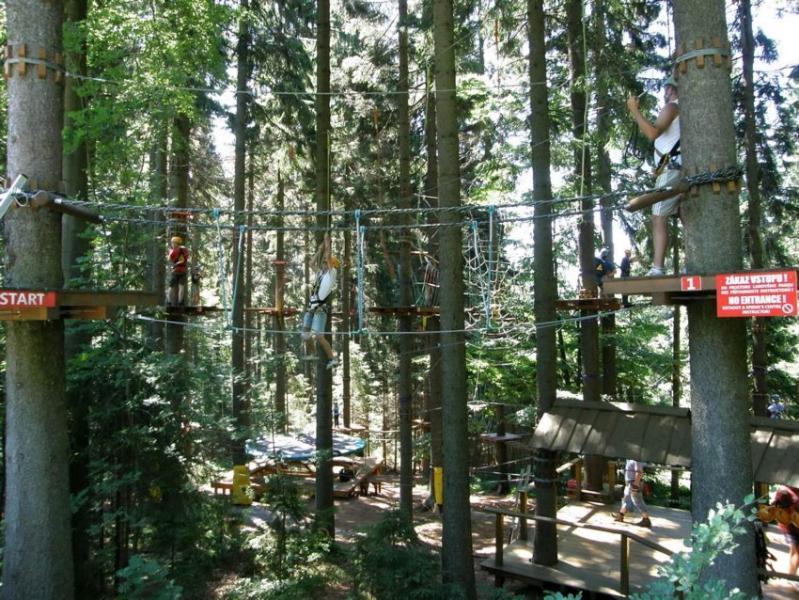 Apartman Ricky V Orlickych Horach Wüstenei Exterior foto