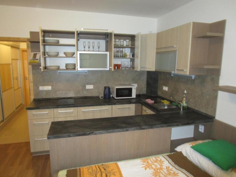 Apartman Ricky V Orlickych Horach Wüstenei Exterior foto