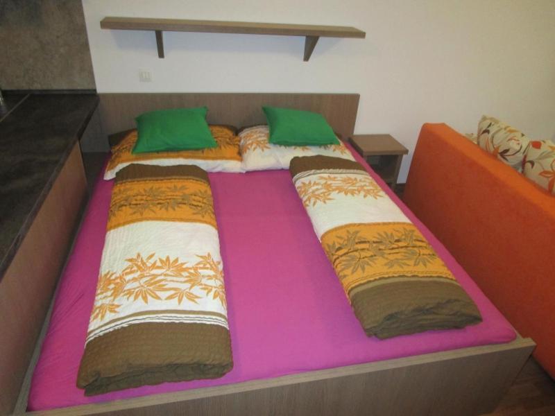 Apartman Ricky V Orlickych Horach Wüstenei Exterior foto