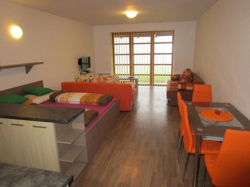Apartman Ricky V Orlickych Horach Wüstenei Exterior foto